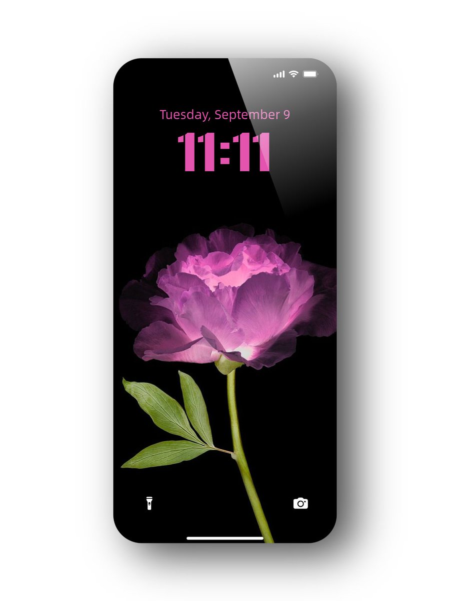beatmywallpaper's tweet image. For those who bloom even in the dark
 #Wallpaper #iOS26 #LockScreen