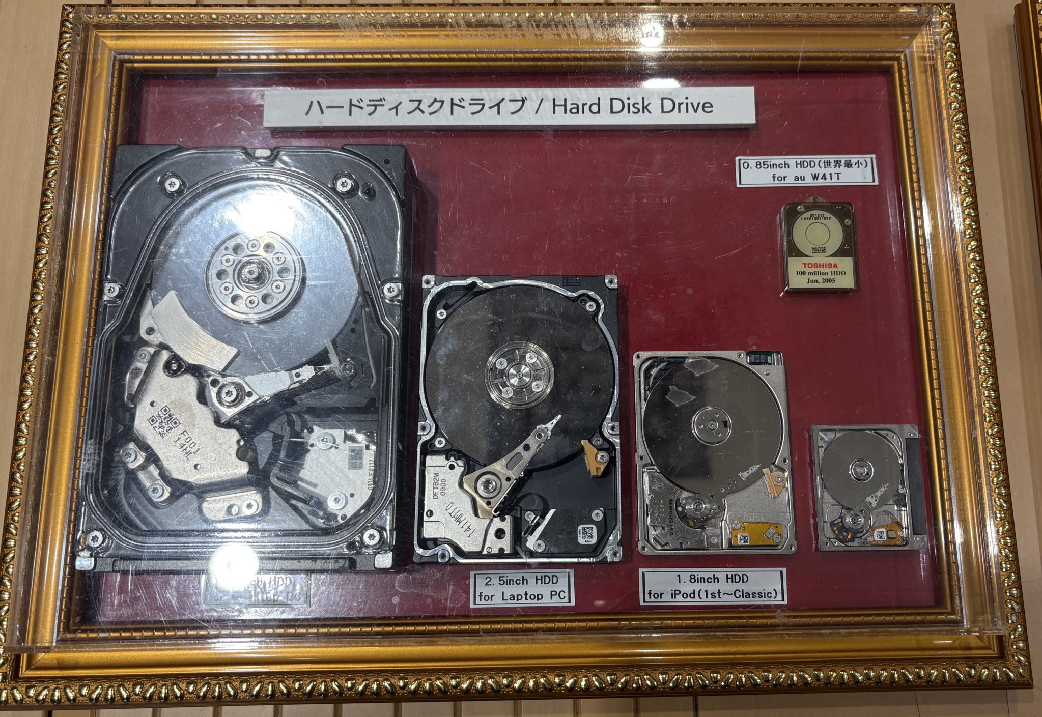 Gan-Dan (@gandansv) / X