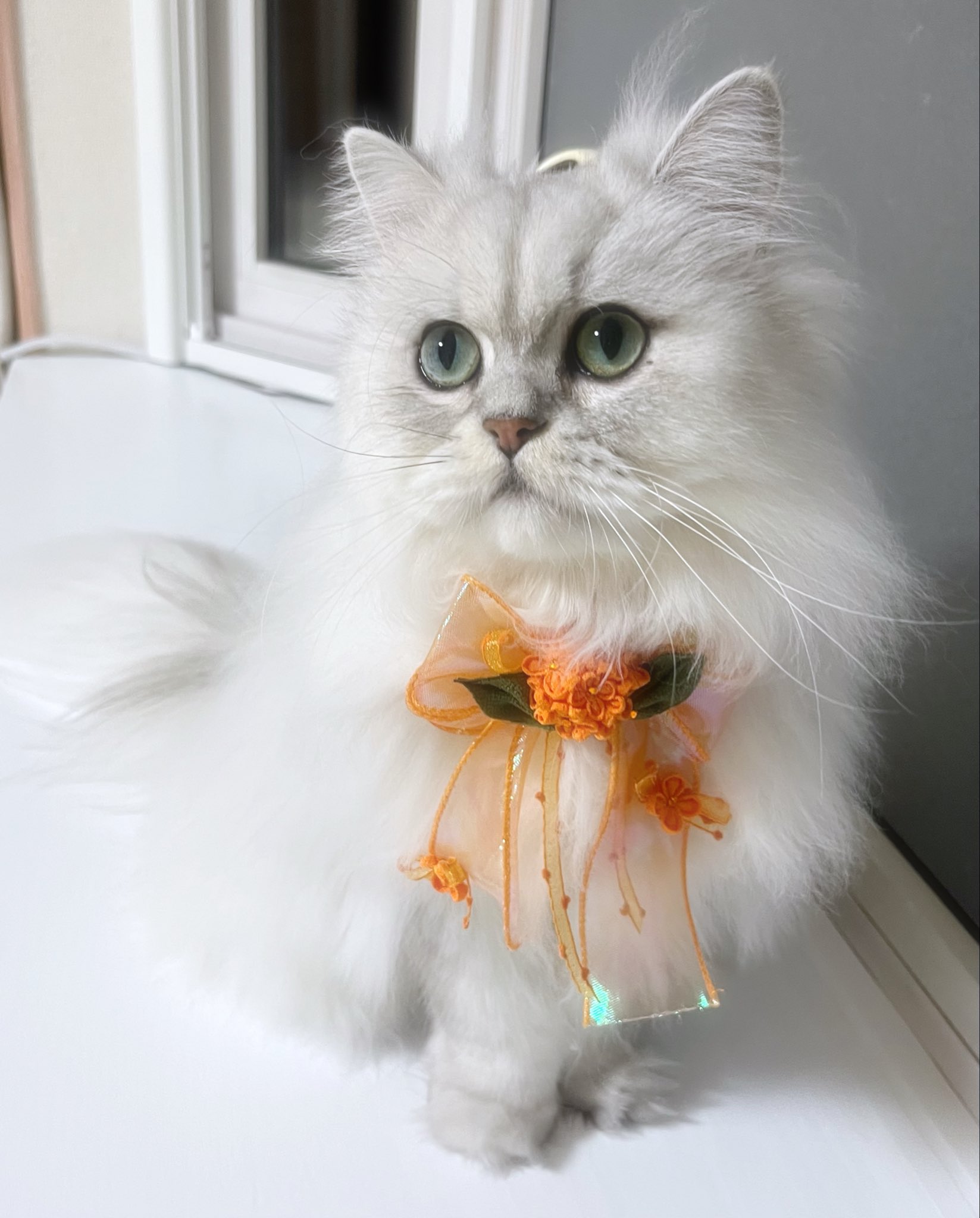 茶々ママページ 茶々ママ (@chachamama0515) / X