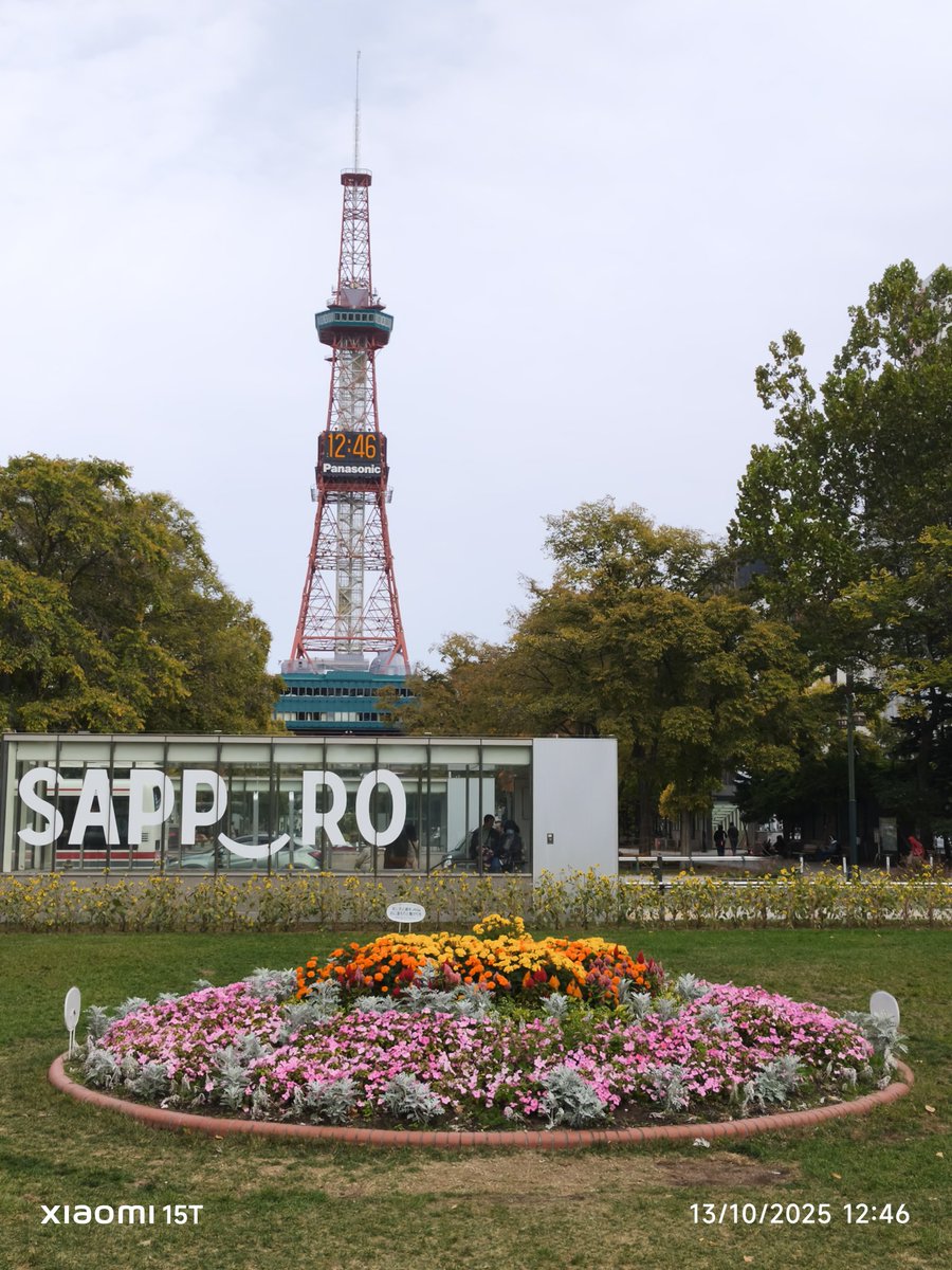 Monoka (@monoka92) on Twitter photo 