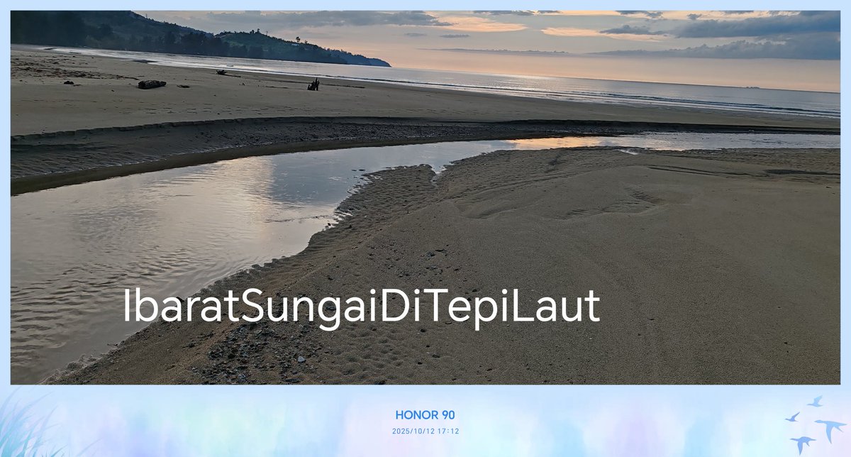 sambals69's tweet image. 