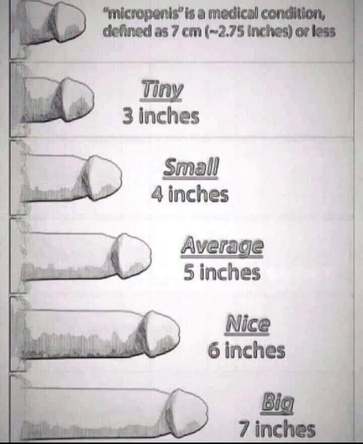 How big is your dick? Don't lie...