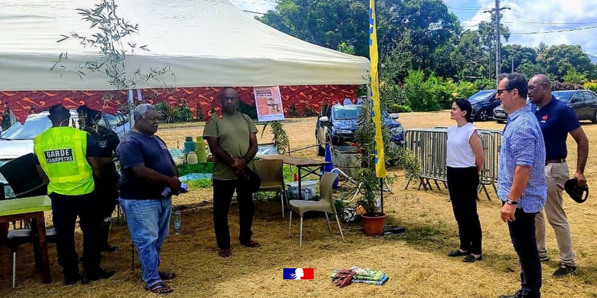 🧩 #MINC | Les rencontres de terrain se poursuivent - Déplacement en province Nord.

Après un échange avec le vice-président de l'assemblée de la province Nord, Claire Durrieu s'est rendue à Vavouto pour visiter l’usine de Koniambo avec son équipe.

Des entretiens ont aussi eu