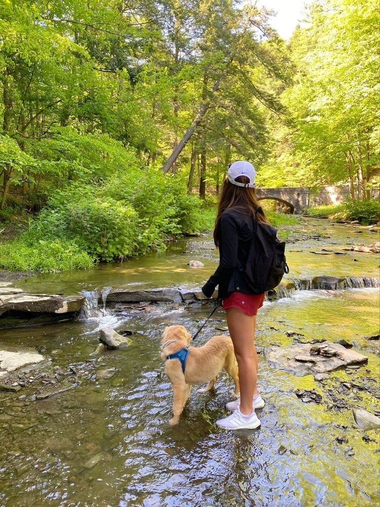 Simcsllagher's tweet image. In the stillness of nature, I find the sound of my own peace. 🍀