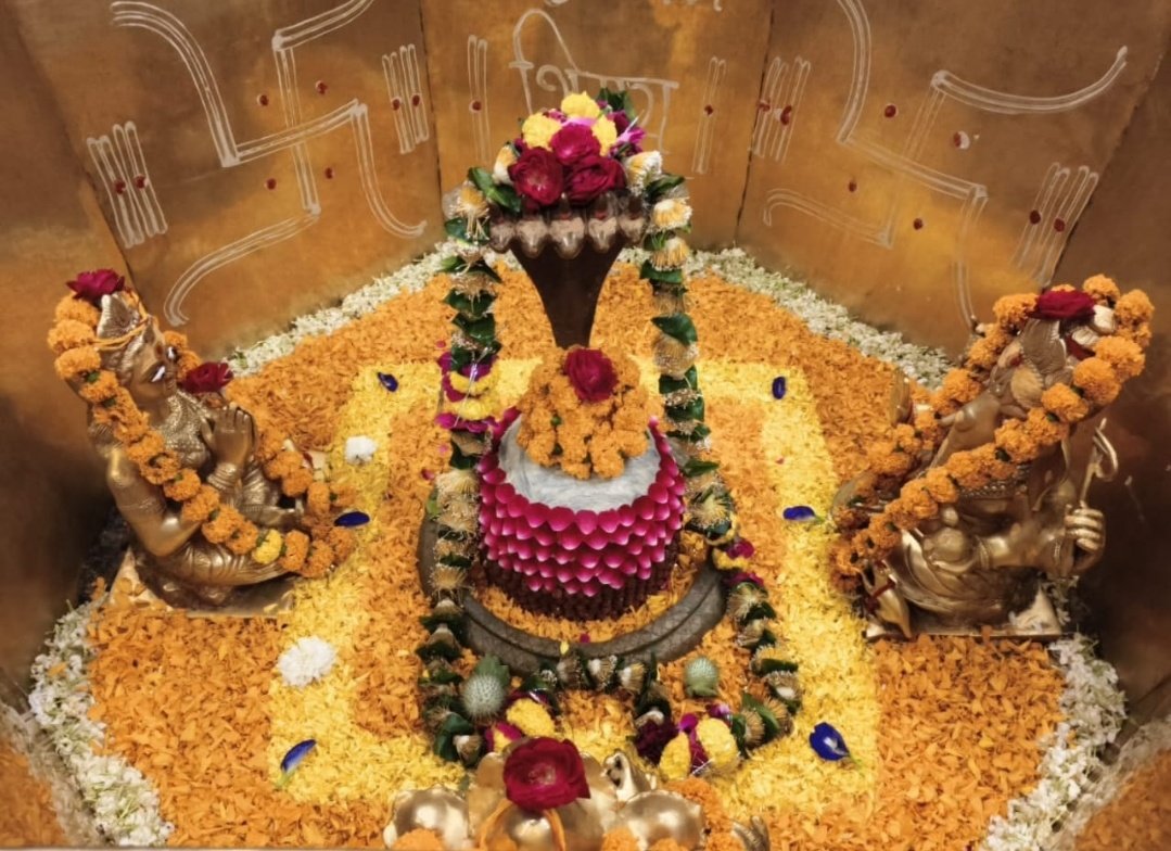 whitesoucepasta's tweet image. 🌸||हर हर महादेव||🌸