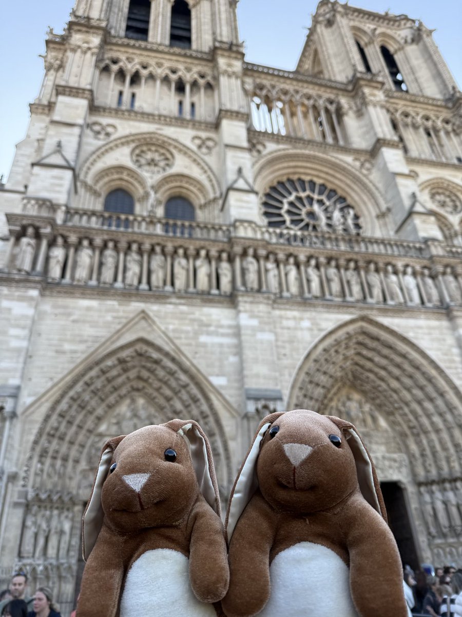 Thump_Bolt's tweet photo. They did a fabulous job restoring Notre Dame Cathedral … amazing! https://t.co/62CV2VLSMP
