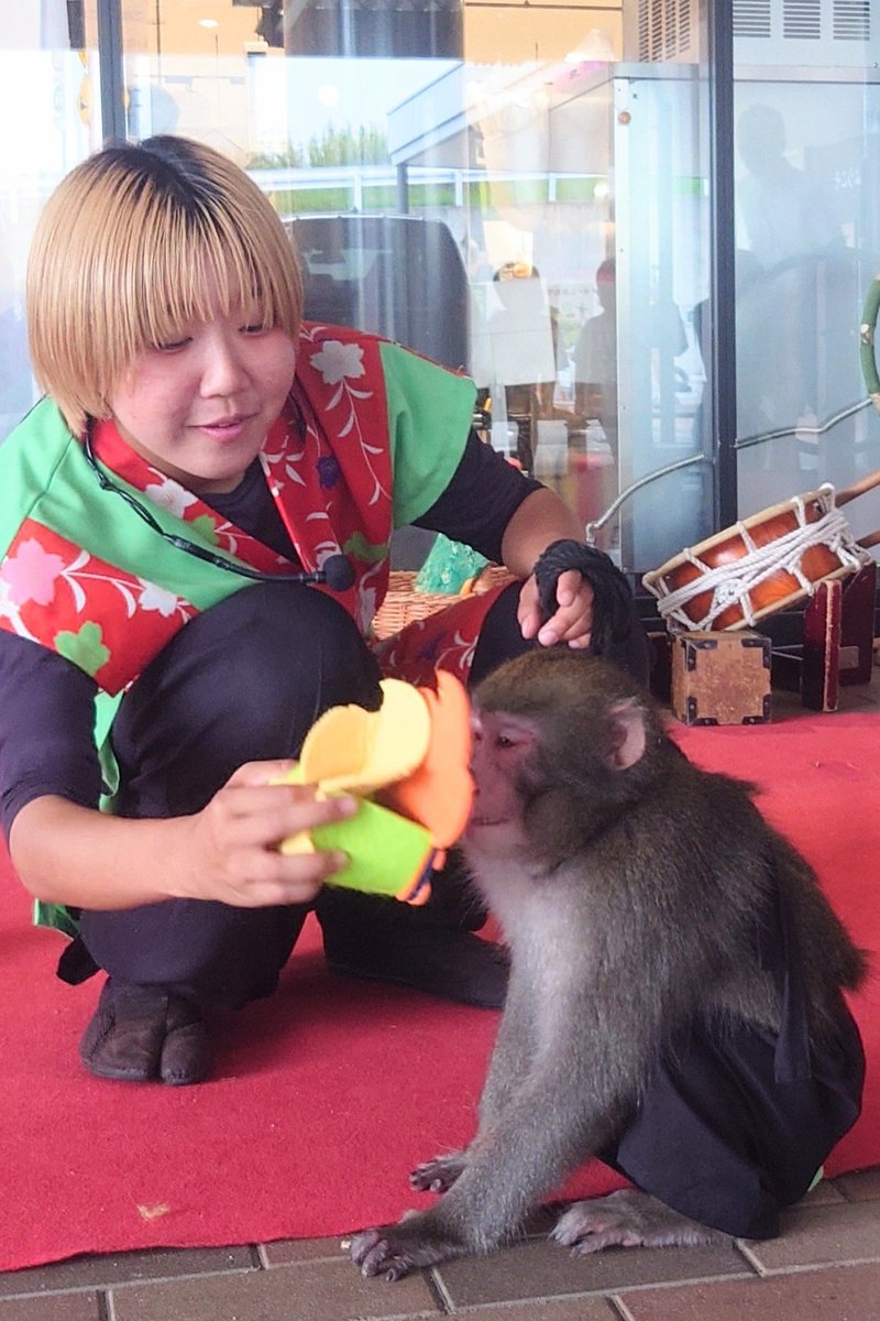 Gen-Ten (@0523_gen) / Posts / X