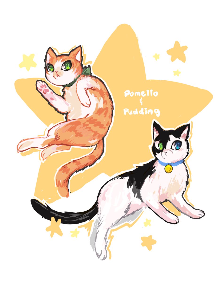 Hi, i drew some kitties