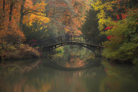 ⋆.·★ ℱₗₒᵣₐ ★·.⋆ (@_pix3lpixi3) on Twitter photo 