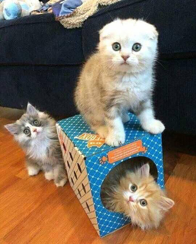 İNSANLAR GÜNAYDIN..😊