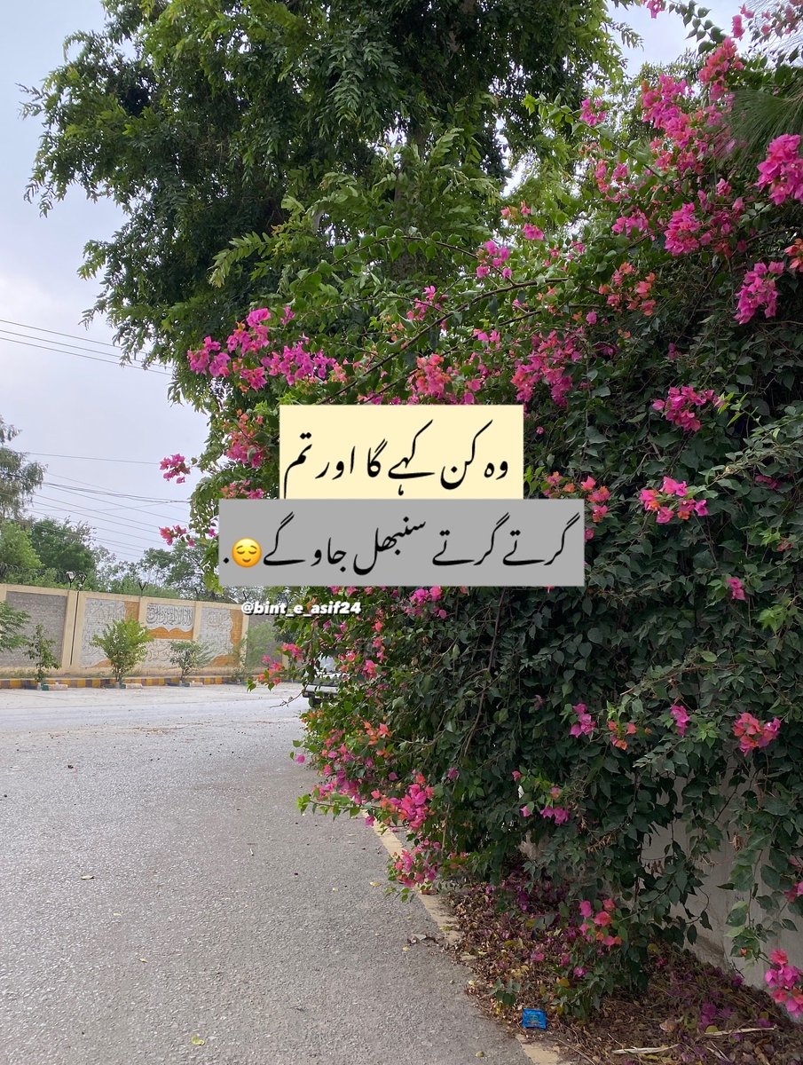 Alishba Asif 🇵🇸🇵🇰 tweet media