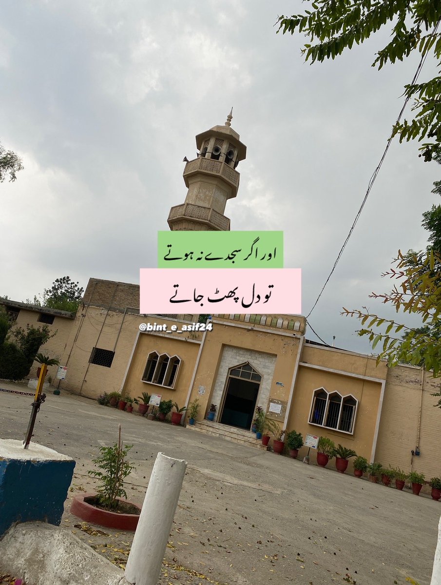 Alishba Asif 🇵🇸🇵🇰 tweet media