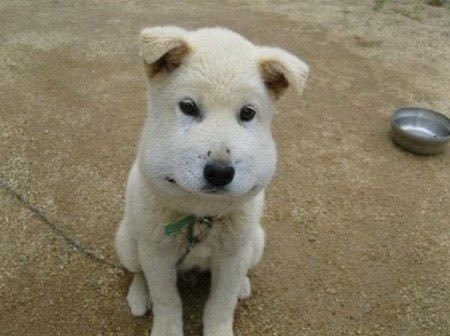 6okdeuki's tweet image. #samepicture