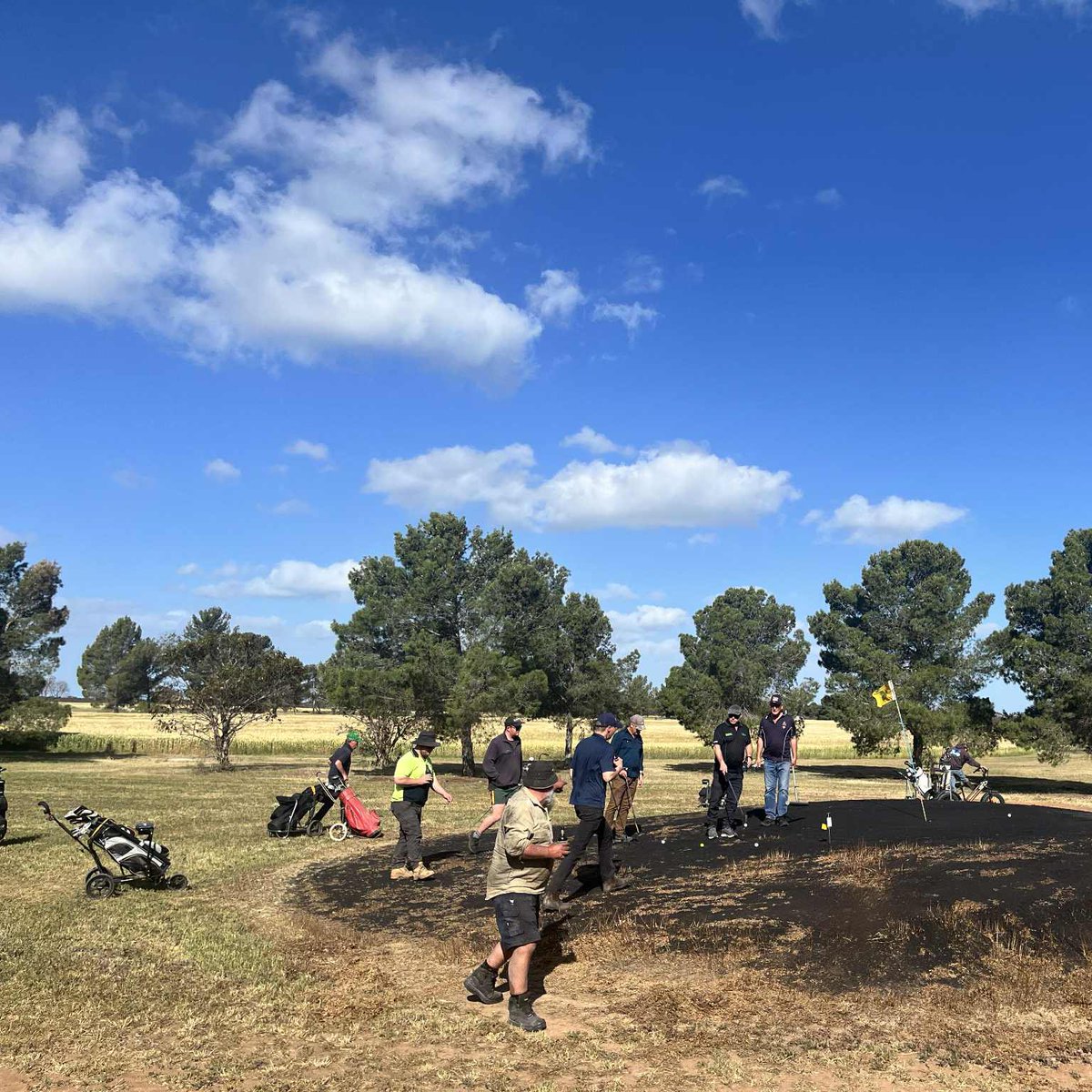 Agfert Fertilizers tweet media