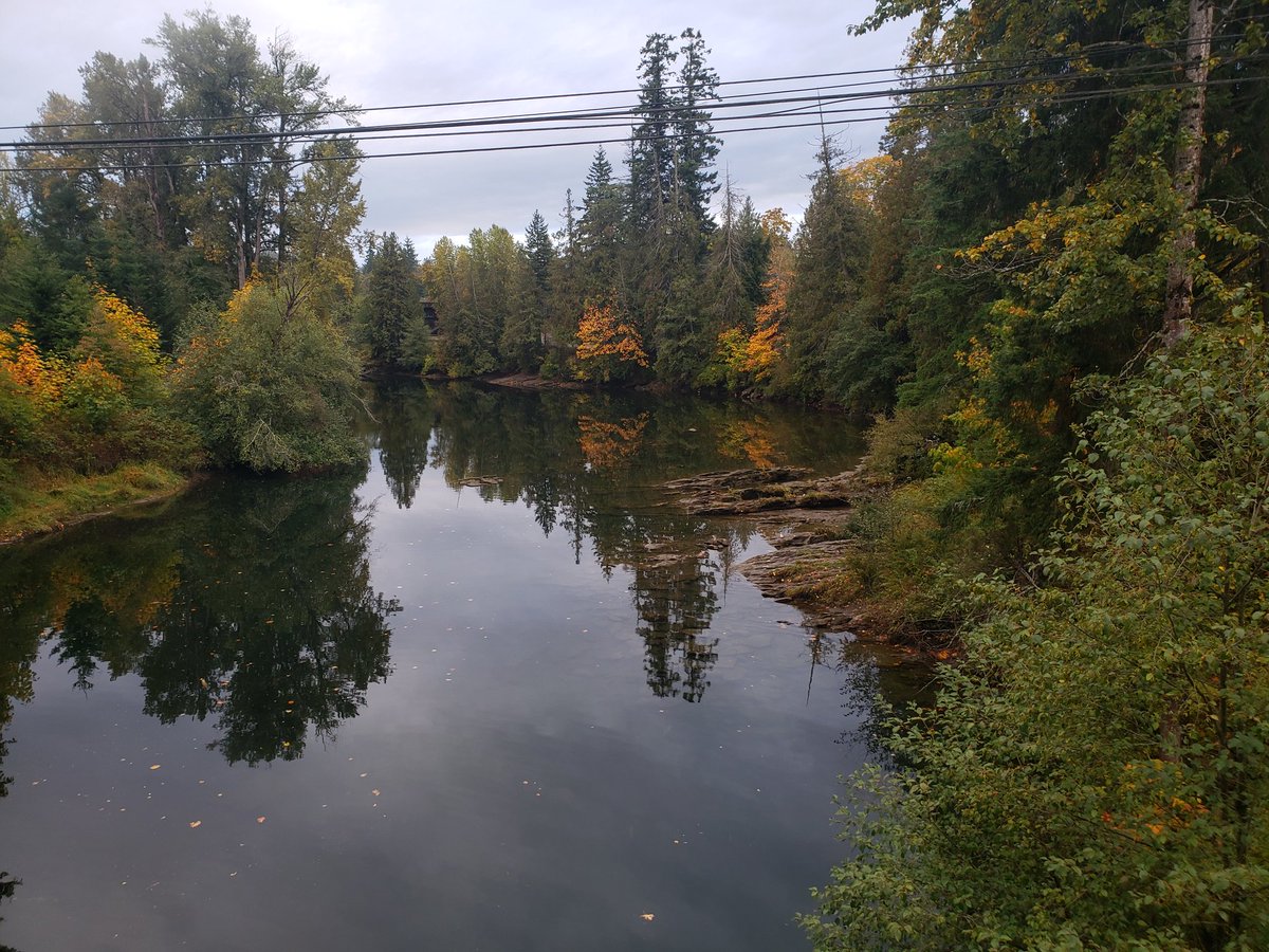 Larry ๐จ๐ฆ ๐จ๐ฆ๐บ๐ฆ (@comox7) on Twitter photo Here is my Thanksgiving pic on my why to a family dinner. 
I love ๐จ๐ฆ 
It's the Nanaimo river Here is my Thanksgiving pic on my why to a family dinner. 
I love ๐จ๐ฆ 
It's the Nanaimo river