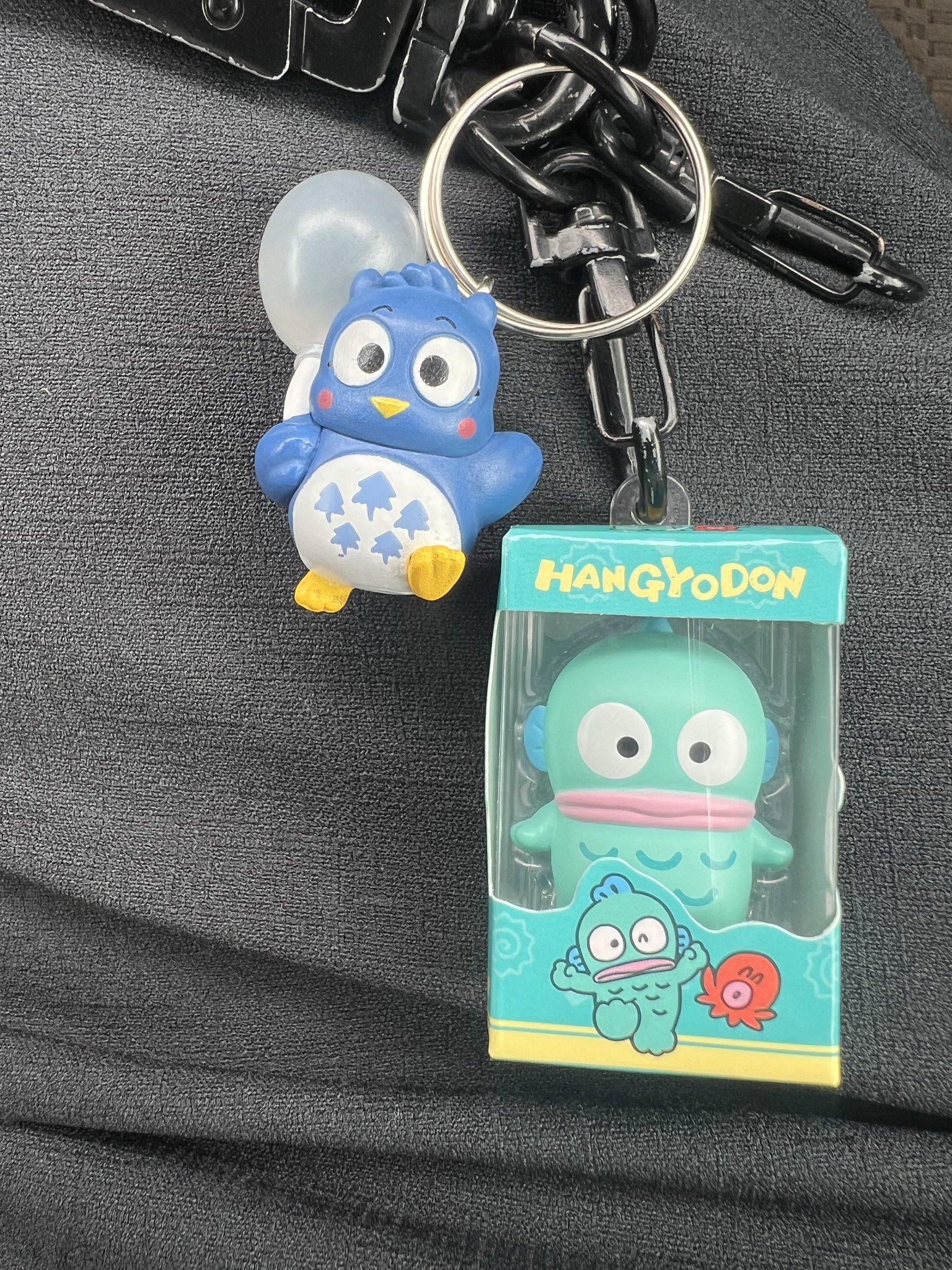 なかなか手に入らない 目が青いハンギョドン なかなか手に入らない 目が青いハンギョドン 予約販売｜2025年7