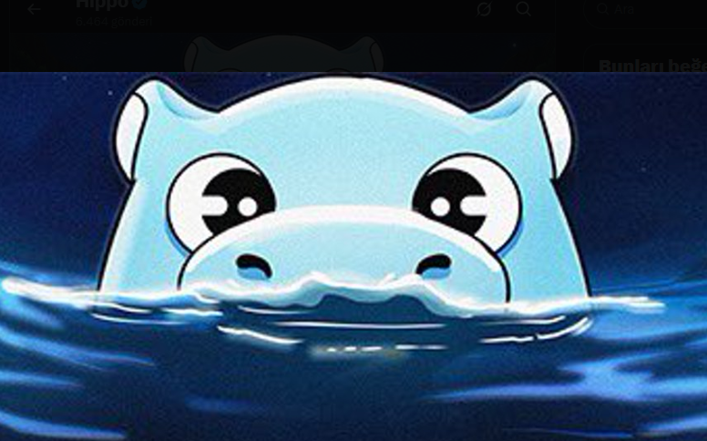 buradayimrem's tweet photo. #SUI project #HIPPO above its daily volume value.
✅ Total value $14 million
✅Daily volume $15 million
✅ Limited supply
✅ Fully in circulation
$HIPPO 🌐 #hippo 
$HIPPO #ETH #Solana #DOGE #usdc #TRX #link #BCH #pump #LUNC #Binance #SKYAI #tag #SNX #Coal #ASTER #tao https://t.co/X3pTIMBp5D