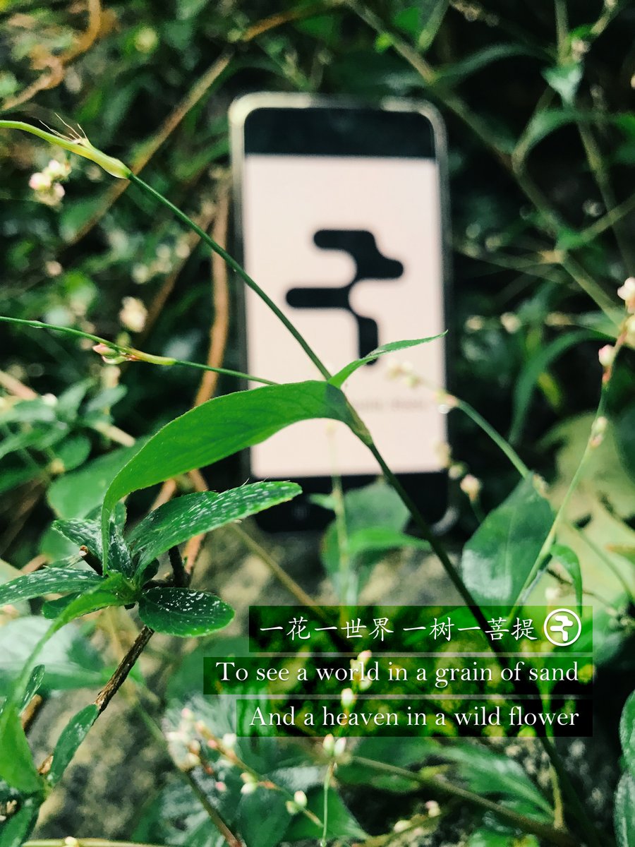 zhenghaokr's tweet photo. To see a world in a grain of sand, / And a heaven in a wild flower. That's the Rialo vision. We make complex Web3 simple. We embed Real-Time Data, Real-World Identity, and Effortless UX to build the Real World Chain. Get real, on Rialo.
@RialoHQ
#Rialo #RealWorldChain #Web3 https://t.co/ED7KOtiSqT