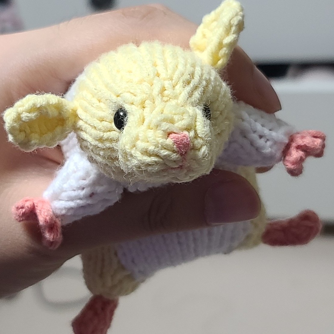 째니🧶 tweet media