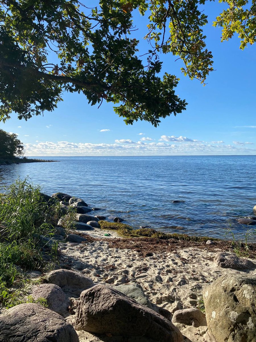 Wunderschönen guten Morgen ☕🤍🐚