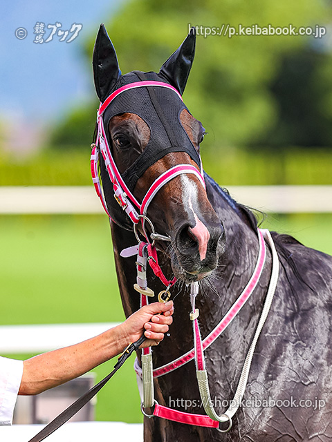 競馬ブックネットSHOP on X