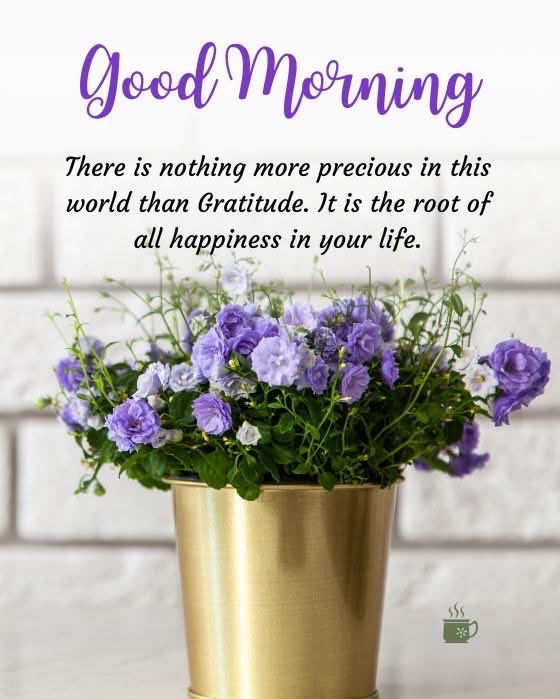 Shiryng's tweet image. Give thanks for the little things as well.
Sometimes theres things we take for granted like “getting up this morning”, to breathe, to see , to hear , to speak &amp;amp; to love 💕

Go live your precious life😇

#DoGood
#BeGood
#PositivityAlways 
#MondayVibes 
#MondayMotivation