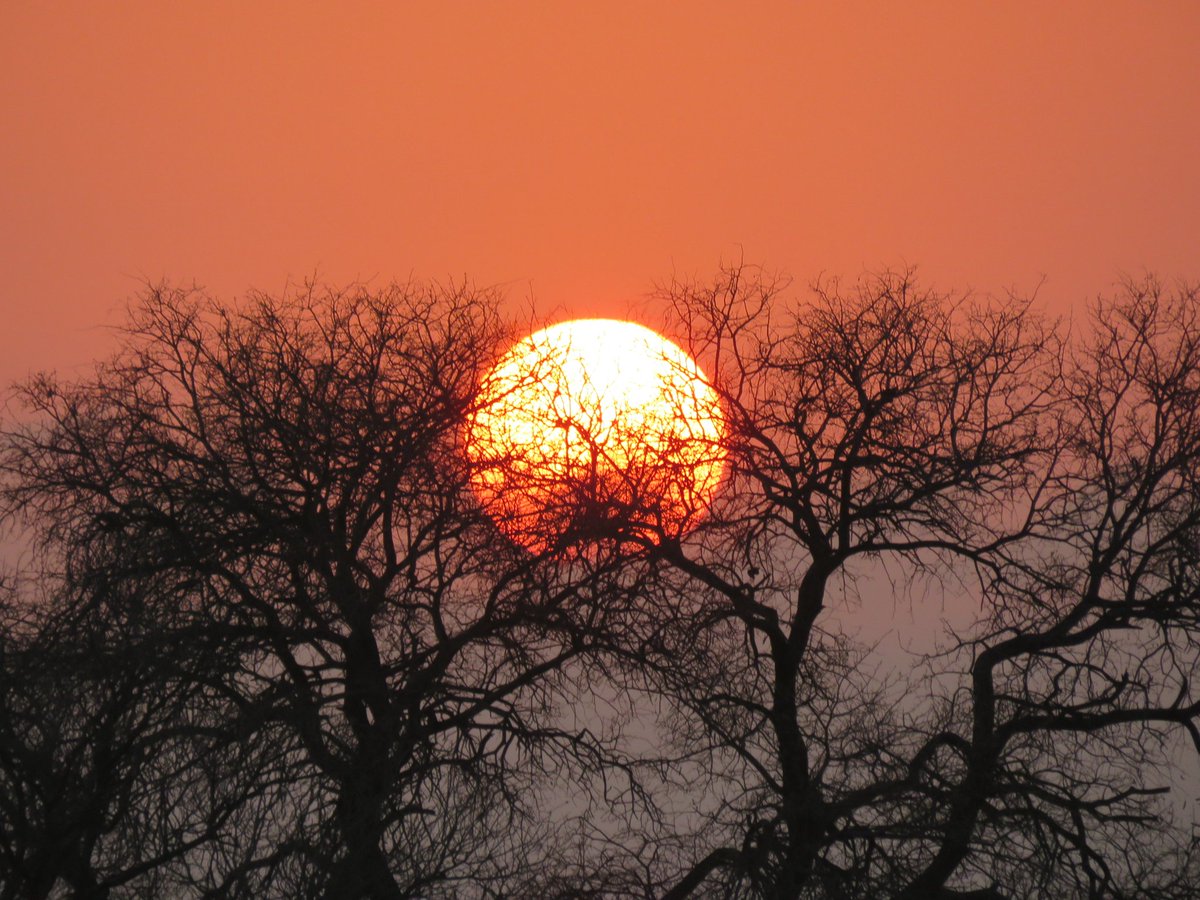 Good morning bahlali.
#Myoffice
#KNP