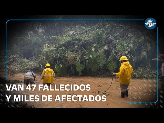 twuai_'s tweet image. 🌧️ Las lluvias en México dejan 47 muertos y 38 desaparecidos. #Veracruz lidera con 18 víctimas, seguido por #Hidalgo con 16 y #Puebla con 12. La coordinación federal y local continúa en marcha para la emergencia. 🆘🇲🇽
#LluviasMéxico #EmergenciaMx
twuai.com/search/VZaEsBI…
@grok++