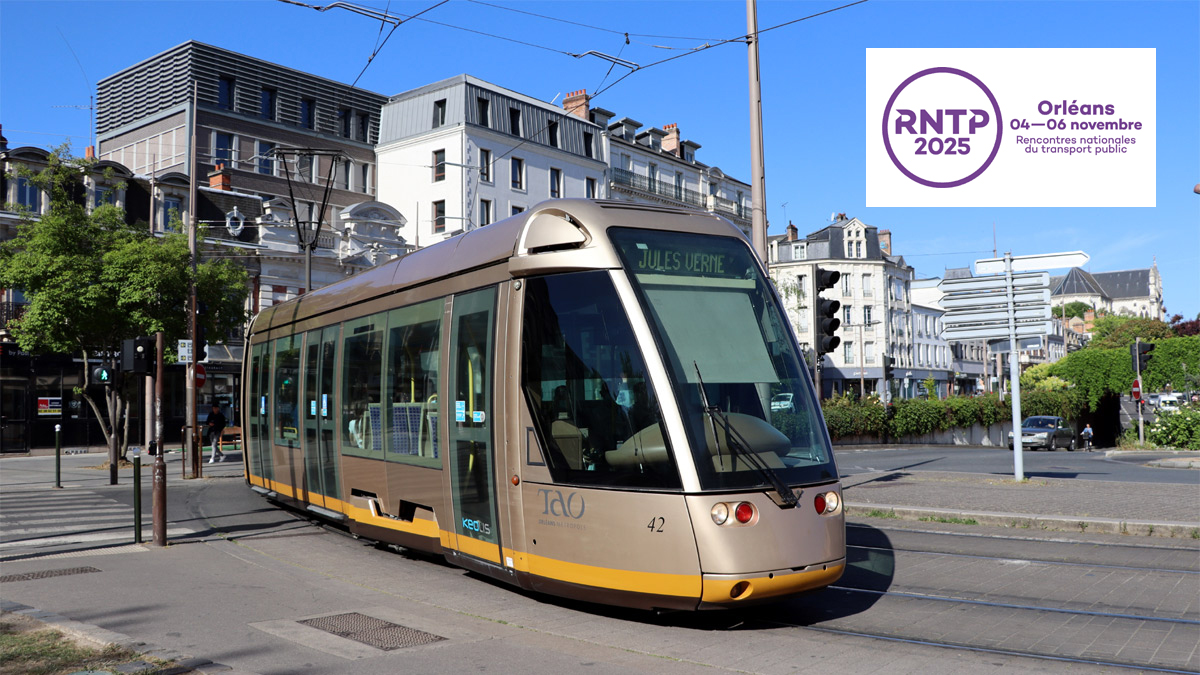 transbus.org tweet media