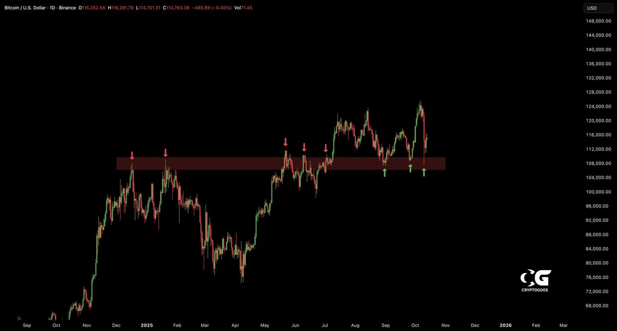 crypto_goos's tweet image. Bitcoin flipped resistance into support.
And you're bearish?