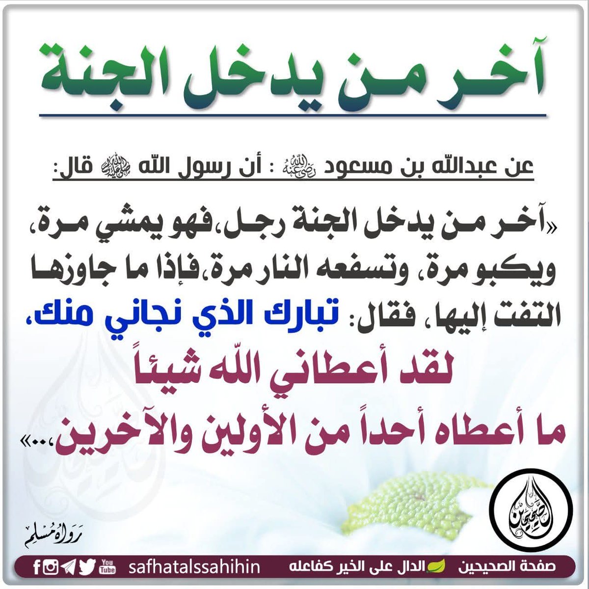 ابوعيد (@amereid1398) on Twitter photo 