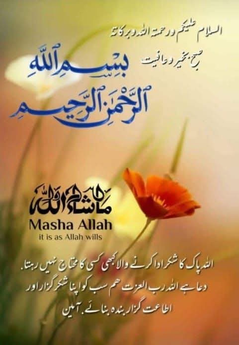 Izwa Khan tweet media