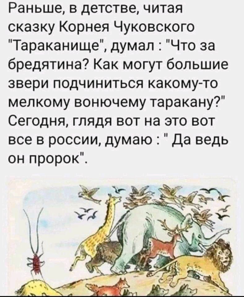Andrey Smetanenko (@andreysmetanen6) on Twitter photo 