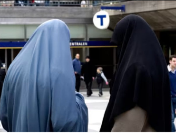 Dykaren 🐸🇸🇪🇬🇱🇩🇰 tweet media