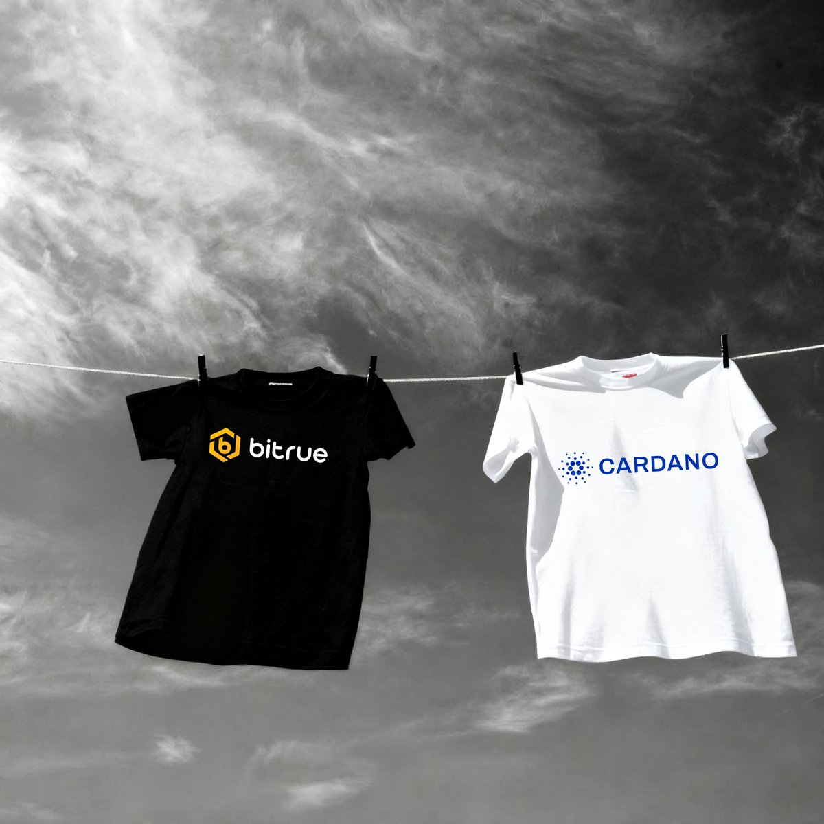 Bitrue tweet media