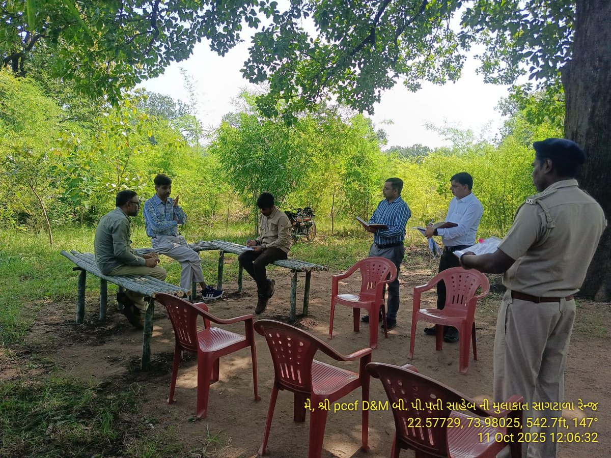 DCFBaria tweet media