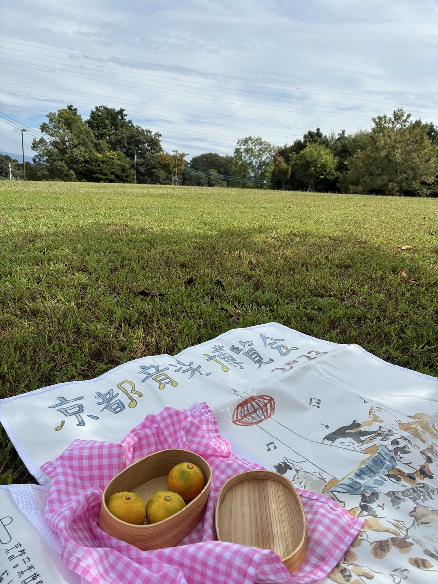 teri_webcoding's tweet image. 一昨年の音博シートでピクニック。
お弁当作る大チャンスだったのに食材がなくてみかん詰めてきました…暑いです。