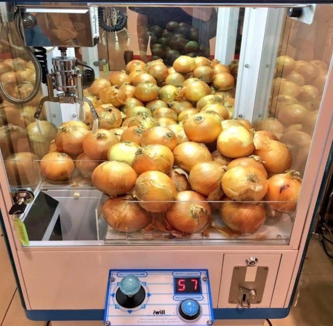 thxtowhatuhave's tweet image. 양파 뽑으러 가좌!!!
😂😂😂