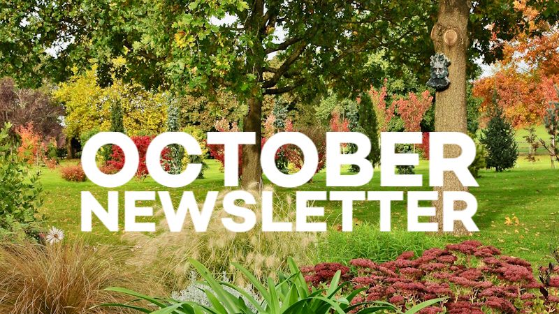 Ashwood Nurseries tweet media