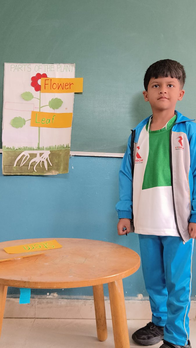 RISE_HYD's tweet image. Our pre-primary kids explored the Parts of Plants activity
Tiny hands, big curiosity — learning how roots, stems, leaves, and flowers make nature so amazing!
Rainbow International School
📞+919652222599 | rise-org.com
#PrePrimaryActivity #PartsOfPlants #LearningIsFun