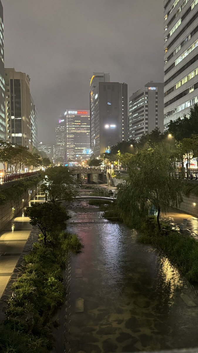 여름 tweet media