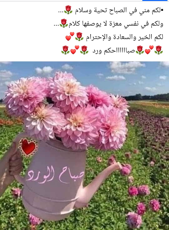 🌺🌿🌺🌿