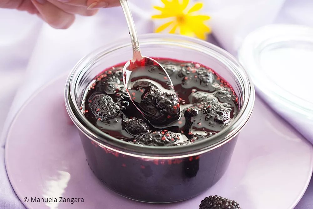 A spoonful of Mulberry Jam turns breakfast into something special. Made with ripe fruit, sugar, and lemon, nothing more, nothing less. 

Get the full recipe 👉 tinyurl.com/mtprc5vm 

#homemadejam #mulberryjam