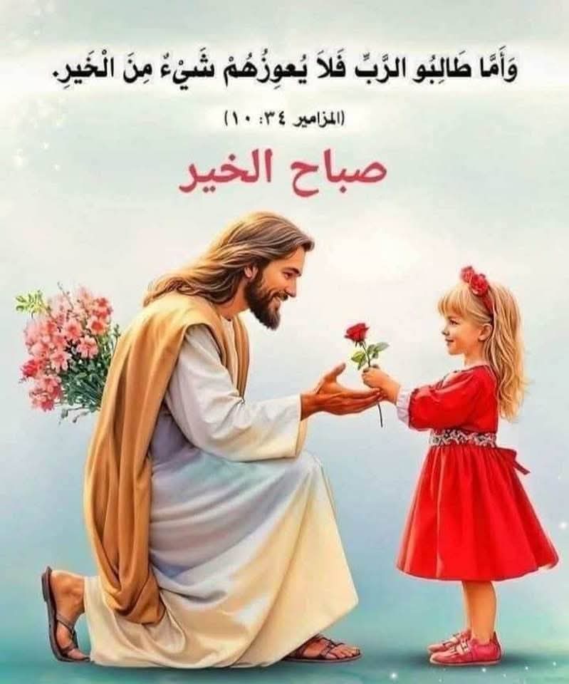 Sherine Nabil (@sherinnabil8) on Twitter photo 