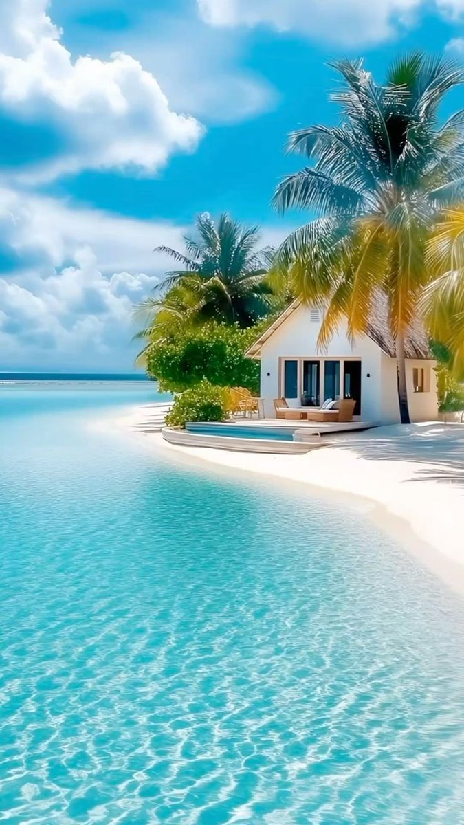 OceanBeauty💦 (@oceanvibes79) on Twitter photo 