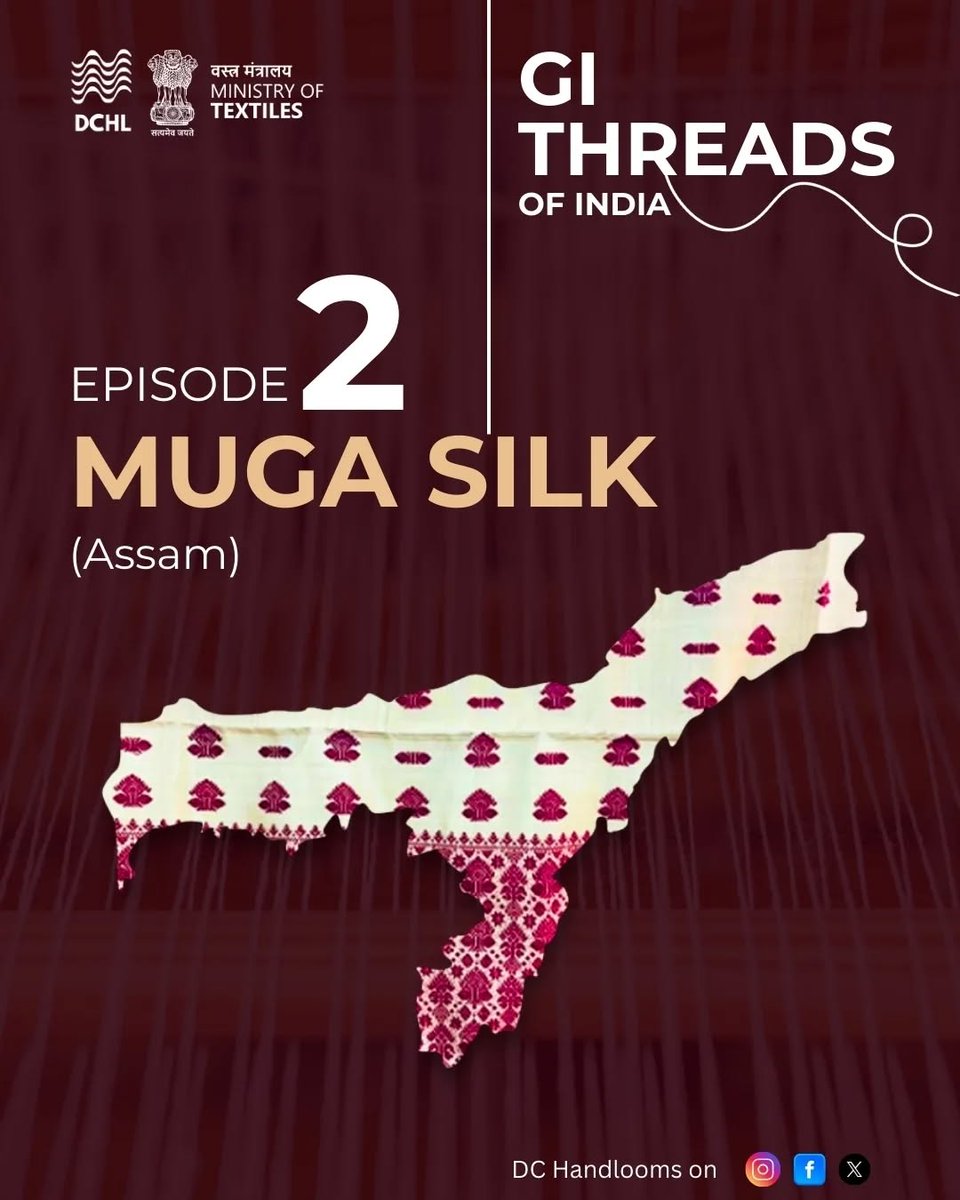 TexMinIndia's tweet photo. They say gold melts..but, Muga silk doesn’t.
It grows- thread by thread, leaf by leaf, under the skies of Assam. (1/2) https://t.co/srgW6IOWcg