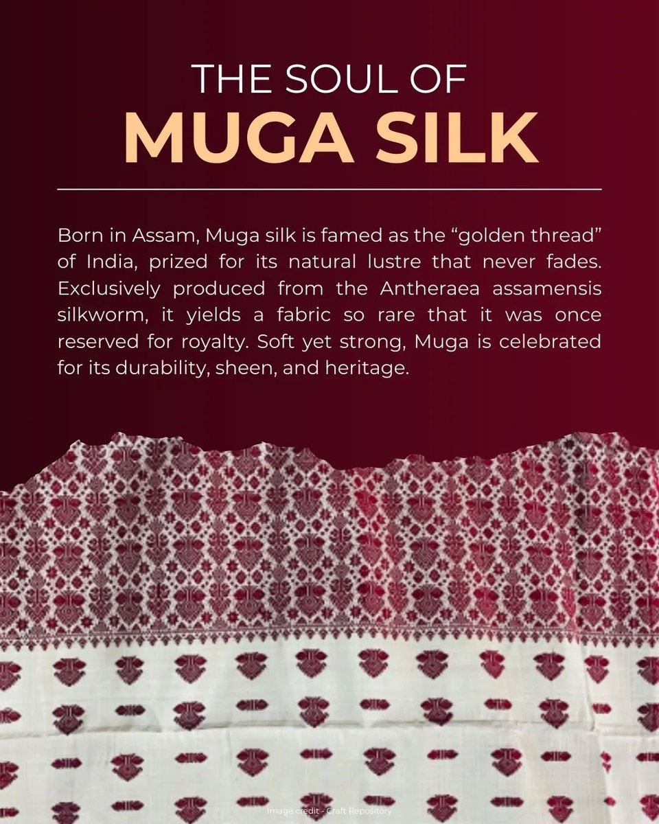 TexMinIndia's tweet photo. They say gold melts..but, Muga silk doesn’t.
It grows- thread by thread, leaf by leaf, under the skies of Assam. (1/2) https://t.co/srgW6IOWcg