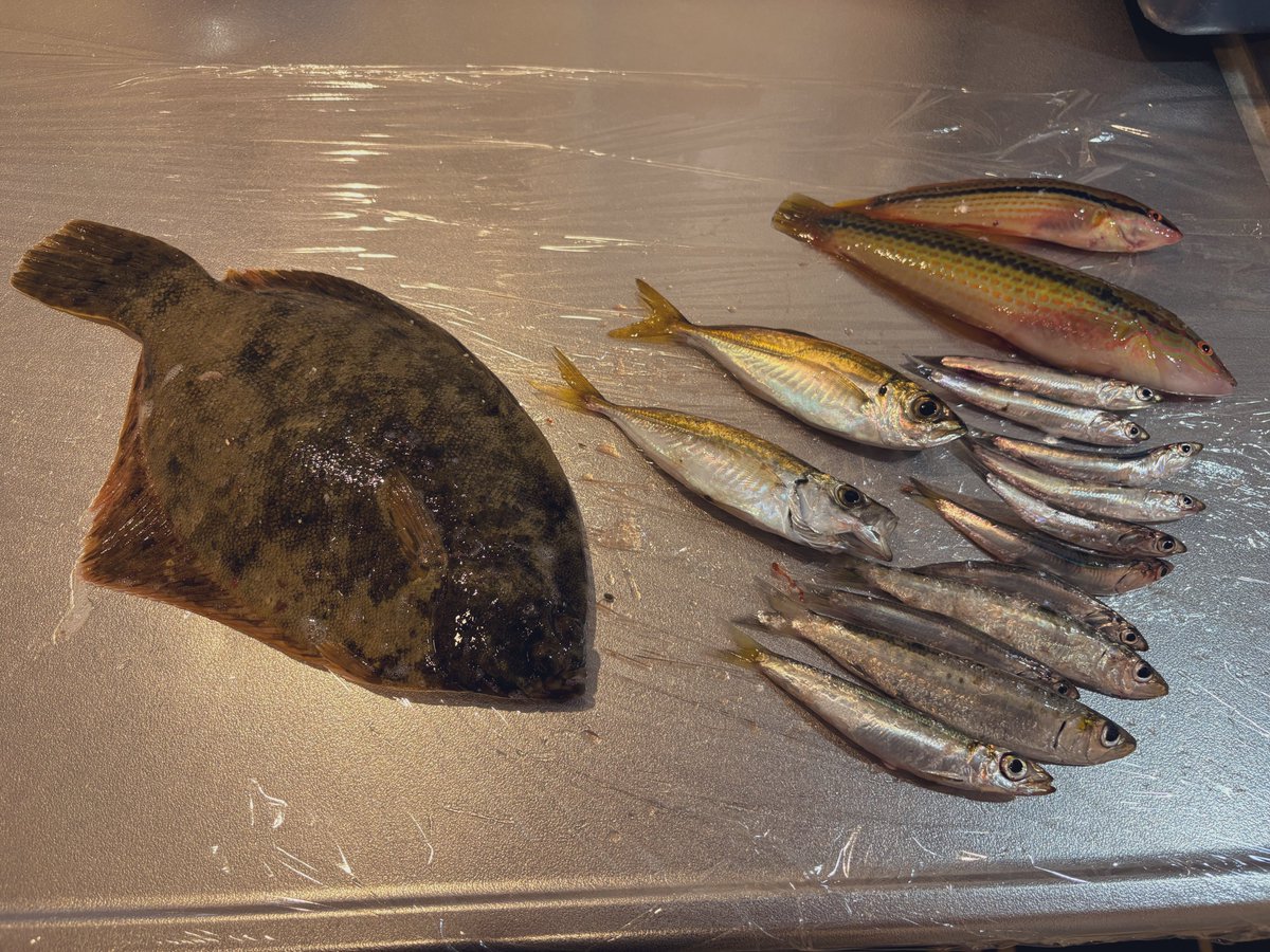 spvp5vc9's tweet photo. 🎣✌ https://t.co/bYmxXWqyDi