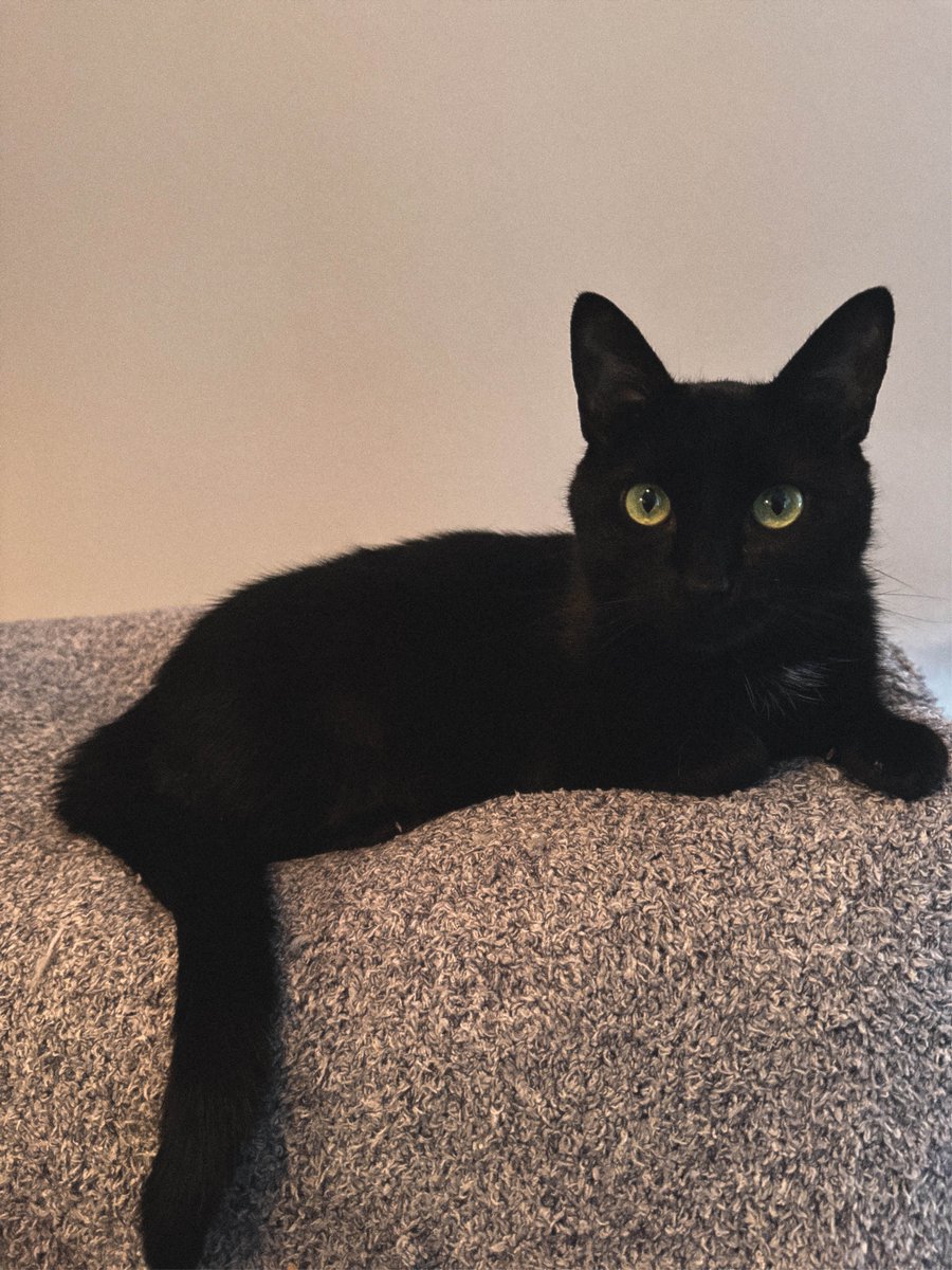 🌱Ari🧸 tweet media