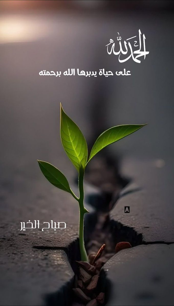 إشرآقة الصبآح 🌻
أجمل مآ تقدمه فِي كل صبْآح .. ابتسآمة الرضآ بما كتبه الله لك وان الخير فيما اختاره الله لك 

 وبك أصبحنآ ي اللـه

#صباح_الخير